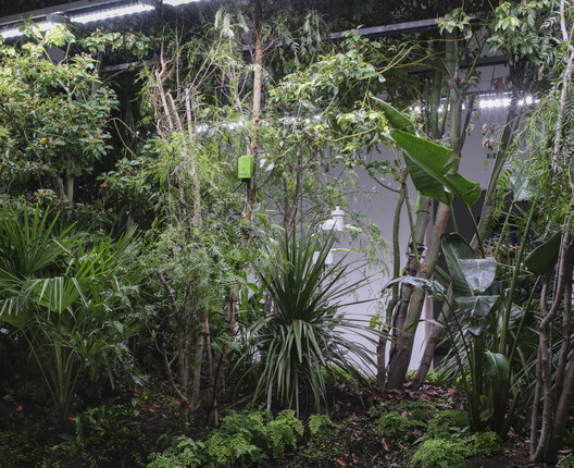 The Belgian Pavilion Explores Plant-Based Architecture at the Venice Biennale 2025 - Image 14 of 32