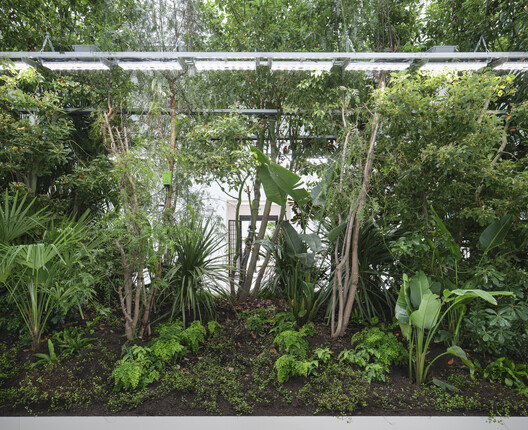 The Belgian Pavilion Explores Plant-Based Architecture at the Venice Biennale 2025 - Image 15 of 32