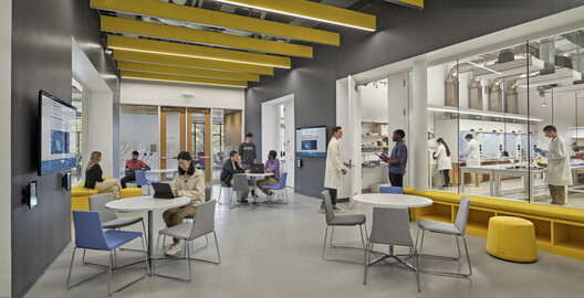 Science Research Center University of Connecticut / Payette - Interior Photography, Chair