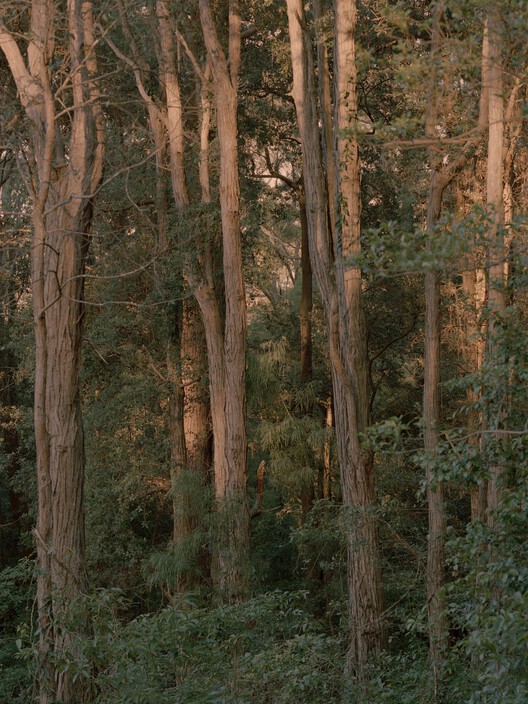 Casa Ironbark / Klaus Carson Studio - Imagen 27 de 27