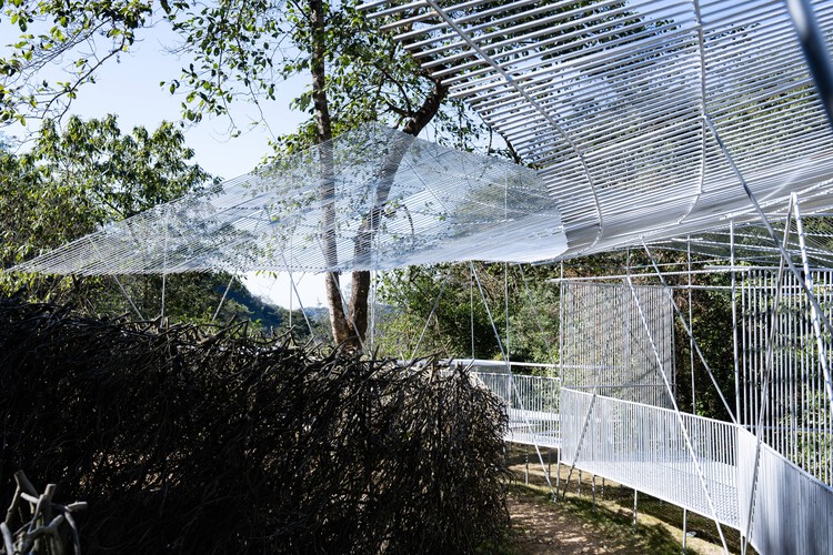 Phoenix Feather Casa de té / Kong Xiangwei Studio - Imagen 12 de 29