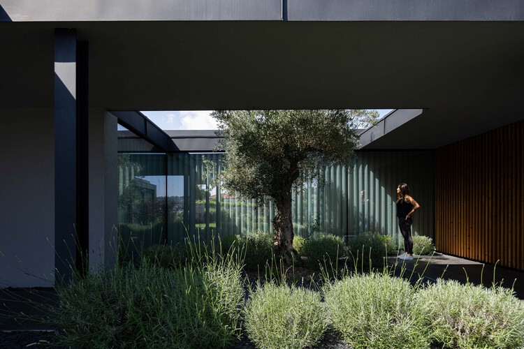 Casa da Encosta / Ricardo Azevedo Arquitecto - Imagem 8 de 32