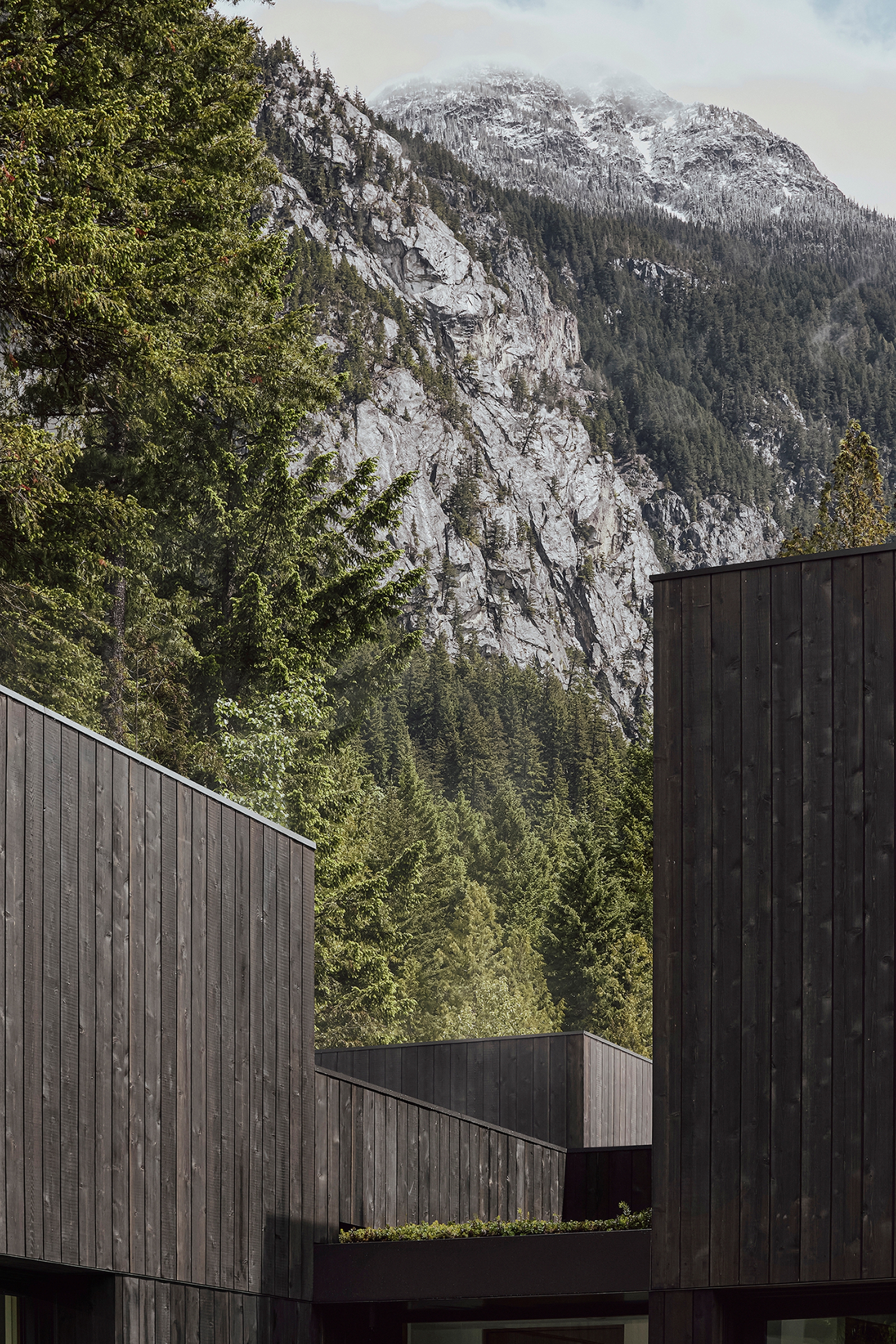 Gallery of Camera House / Leckie Studio Architecture + Design - 10