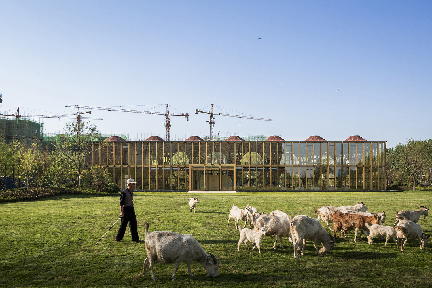 Hecho para (no) durar: cómo la arquitectura reversible está redefiniendo nuestra forma de construir - Imagen 10 de 17