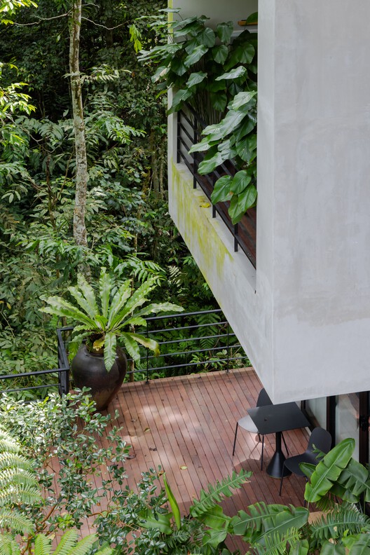 Casa de la selva / Choo Gim Wah Architect - Fotografía interior