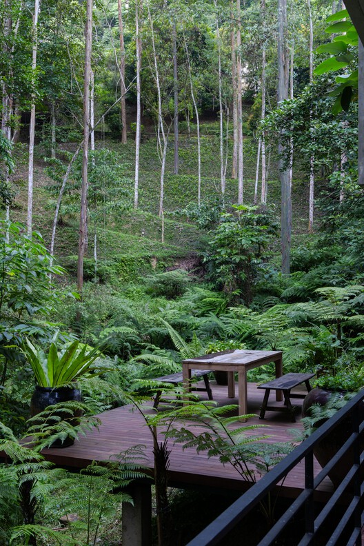 Casa de la selva / Choo Gim Wah Architect - Fotografía exterior, Madera, Bosque, Jardín