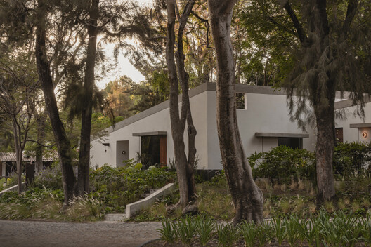 Malvas 59 / Estudio Radillo Alba - Fotografía exterior, Jardín