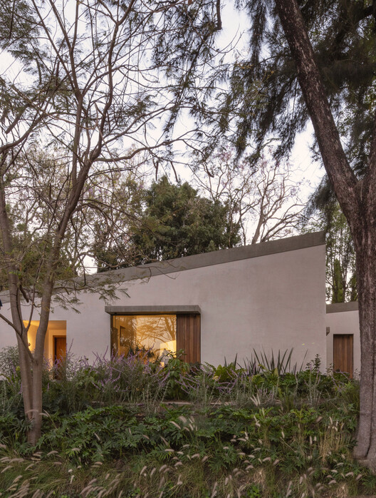 Malvas 59 / Estudio Radillo Alba - Fotografía exterior, Jardín
