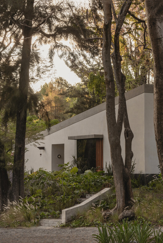 Malvas 59 / Estudio Radillo Alba - Fotografía exterior, Jardín
