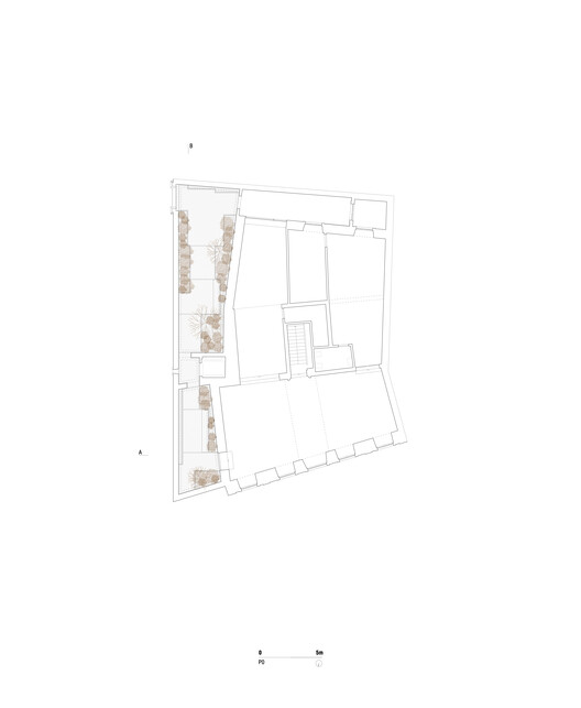 Montijo Municipal Gallery's Garden / Ricardo Bak Gordon + Rui Mendes Arquitectura - Image 15 of 21