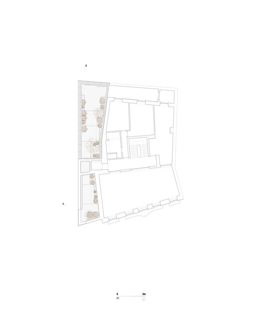 Montijo Municipal Gallery's Garden / Ricardo Bak Gordon + Rui Mendes Arquitectura - Image 16 of 21