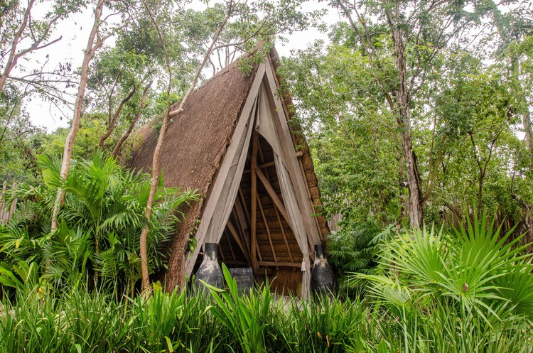 Crossing Hemispheres: Thatched Roofs from America to Asia - Image 12 of 21