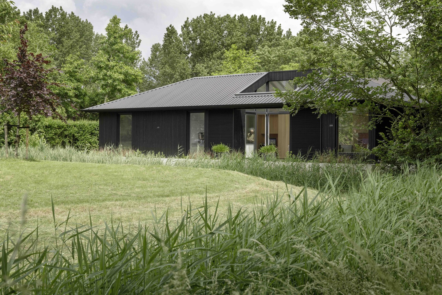 Casa para 3 generaciones / i29 architects - Fotografía exterior, Jardín