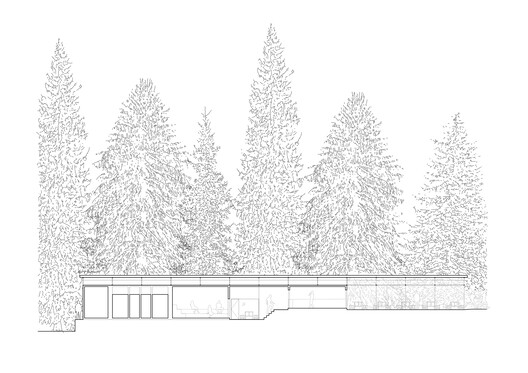 Piscina da Floresta / Mjölk architekti - Imagem 25 de 28