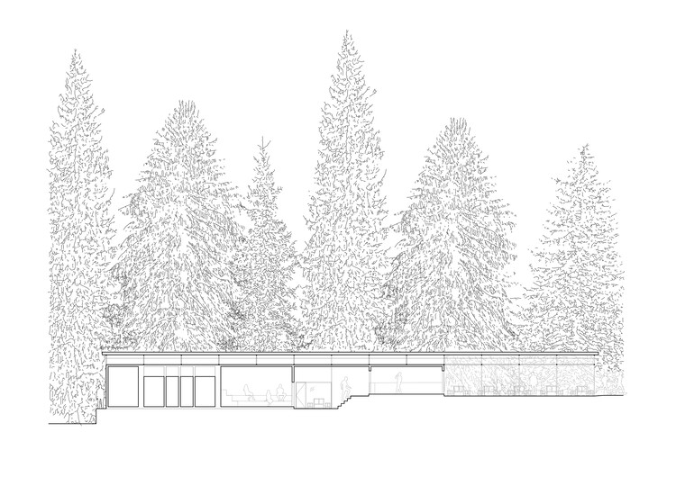 Piscina da Floresta / Mjölk architekti - Imagem 25 de 28