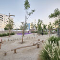 104 Abu Dhabi Neighbourhood Parks / SLA - Exterior Photography, Landscape