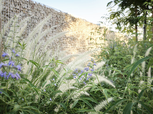 104 Abu Dhabi Neighbourhood Parks / SLA - Exterior Photography, Garden