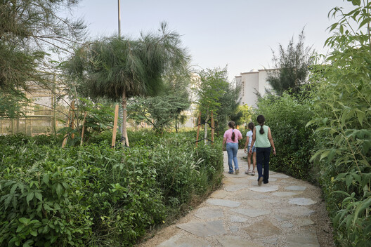 104 Abu Dhabi Neighbourhood Parks / SLA - Exterior Photography, Garden