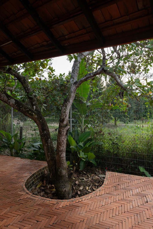 Casa Cashew Garden / G+ Architects - Imagen 19 de 43