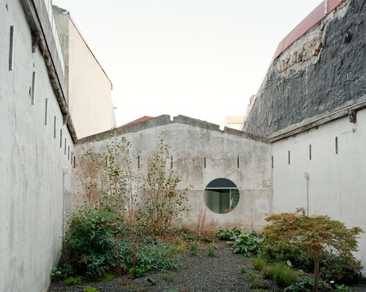 Oasis under a Building / fala - Exterior Photography, Concrete