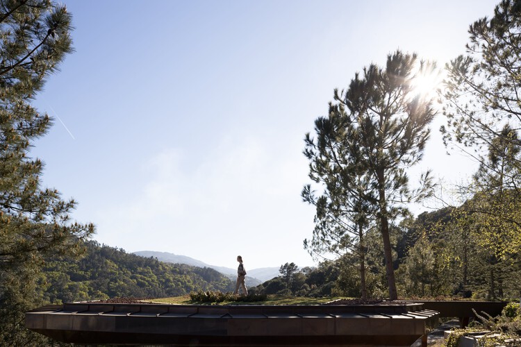 Casa Douro Wood / MJARC Arquitectos - Imagen 5 de 29