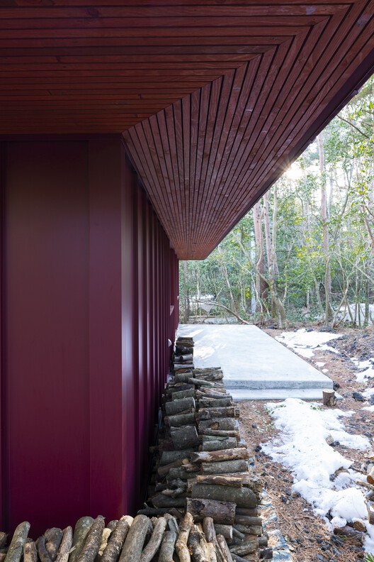 House in the Forest / Office Ten Architecture - Image 12 of 20