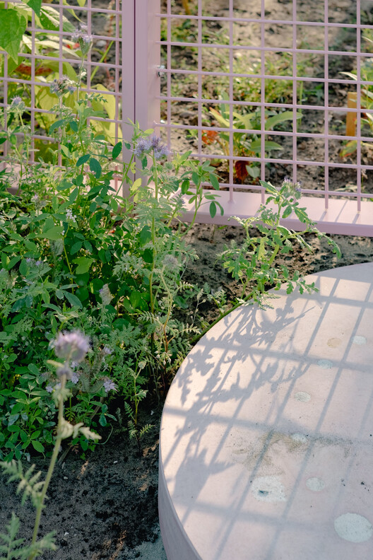 The Architecture of Rewilding: Designing for Ecosystem Recovery - Image 9 of 73