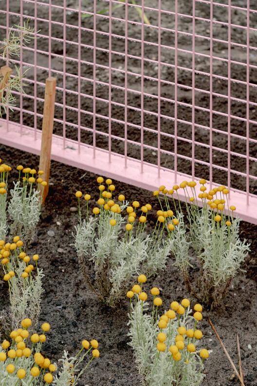 The Architecture of Rewilding: Designing for Ecosystem Recovery - Image 12 of 73