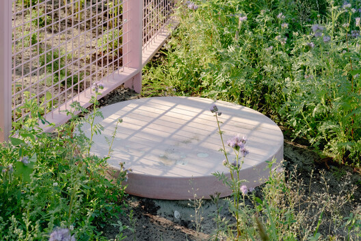 The Architecture of Rewilding: Designing for Ecosystem Recovery - Image 26 of 73