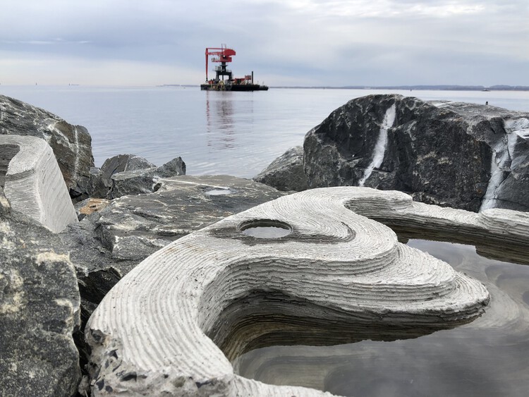 The Architecture of Rewilding: Designing for Ecosystem Recovery - Image 47 of 73