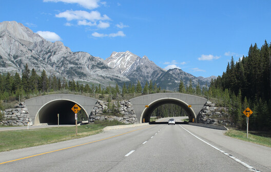 The Architecture of Rewilding: Designing for Ecosystem Recovery - Image 46 of 73