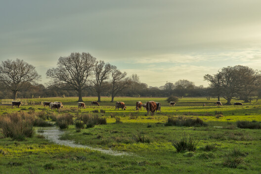 The Architecture of Rewilding: Designing for Ecosystem Recovery - Image 60 of 73