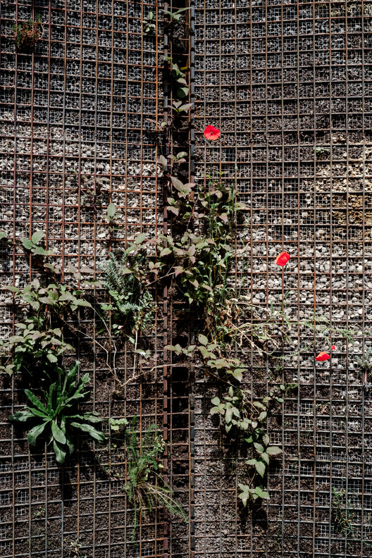The Architecture of Rewilding: Designing for Ecosystem Recovery - Image 62 of 73