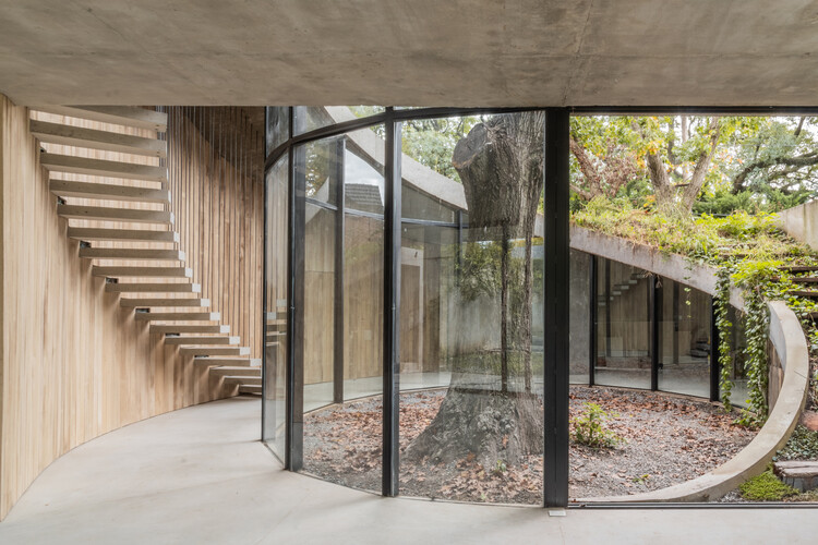 Casas en Argentina: cubiertas verdes que fusionan arquitectura y paisaje - Imagen 13 de 19