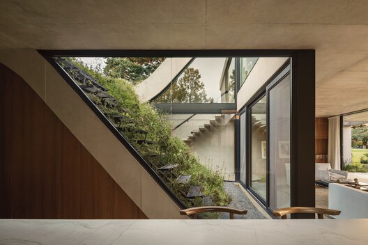 Houses in Argentina: Green Roofs That Blend Architecture and Landscape - Image 12 of 19