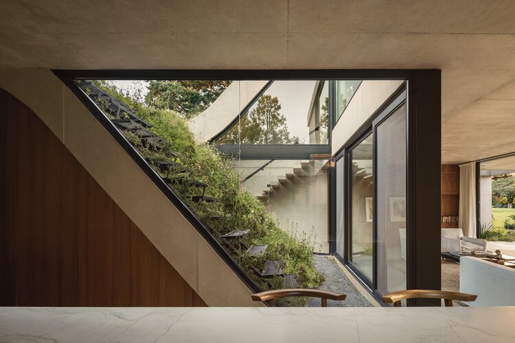 Casas en Argentina: cubiertas verdes que fusionan arquitectura y paisaje - Imagen 12 de 19