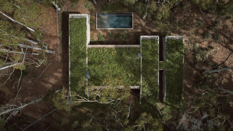 Casas en Argentina: cubiertas verdes que fusionan arquitectura y paisaje - Imagen 6 de 19
