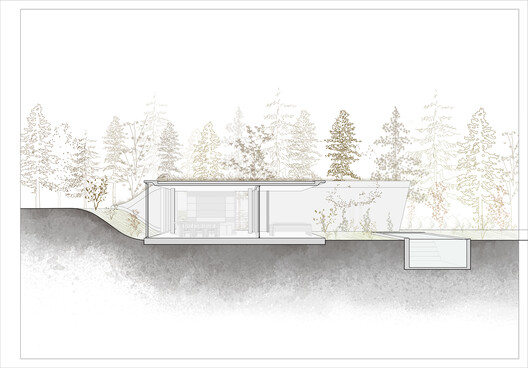 Houses in Argentina: Green Roofs That Blend Architecture and Landscape - Image 15 of 19