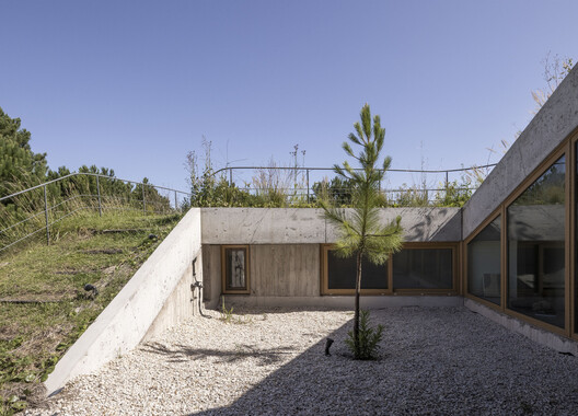 Houses in Argentina: Green Roofs That Blend Architecture and Landscape - Image 3 of 19