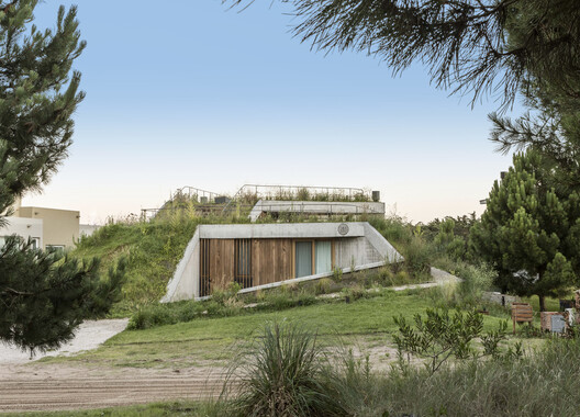 Houses in Argentina: Green Roofs That Blend Architecture and Landscape - Image 9 of 19