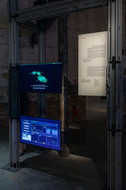From Martian Hydrospheres to Forest-Like Cities: 6 Radical Urban Visions Unveiled at the Venice 2025 Architecture Biennale - Image 16 of 26