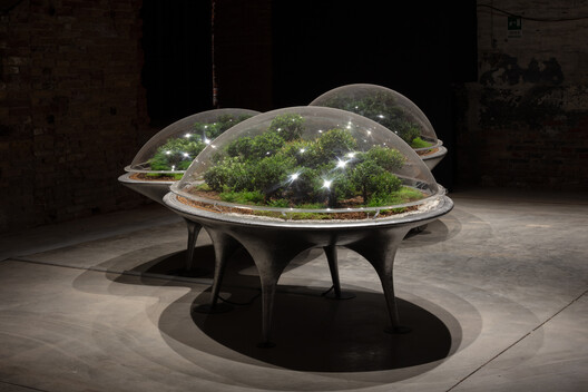 From Martian Hydrospheres to Forest-Like Cities: 6 Radical Urban Visions Unveiled at the Venice 2025 Architecture Biennale - Image 14 of 26