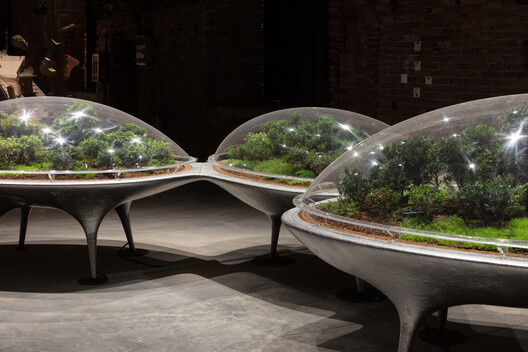 From Martian Hydrospheres to Forest-Like Cities: 6 Radical Urban Visions Unveiled at the Venice 2025 Architecture Biennale - Image 15 of 26