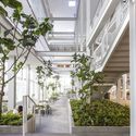The Corner House / Department of ARCHITECTURE - Commercial Architecture