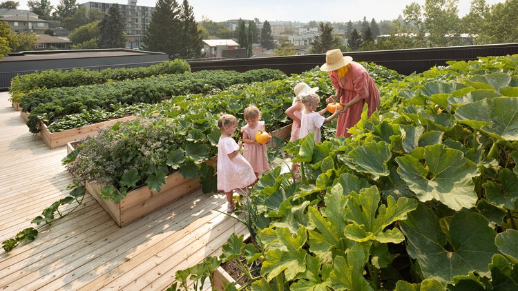 Rhythms of the Soil: Architecture as Agroecology - Image 6 of 52