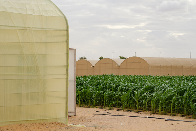 Rhythms of the Soil: Architecture as Agroecology - Image 36 of 52