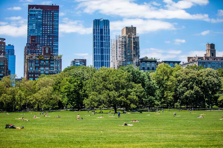 Building Climate Resilience at Historic Gardens: From Central Park to Mexico City and Beyond - Image 1 of 1