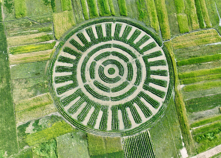 An Ancestral Legacy with Modern Concerns: The Story Behind the Waru Waru Agricultural Fields in Peru - Image 2 of 6