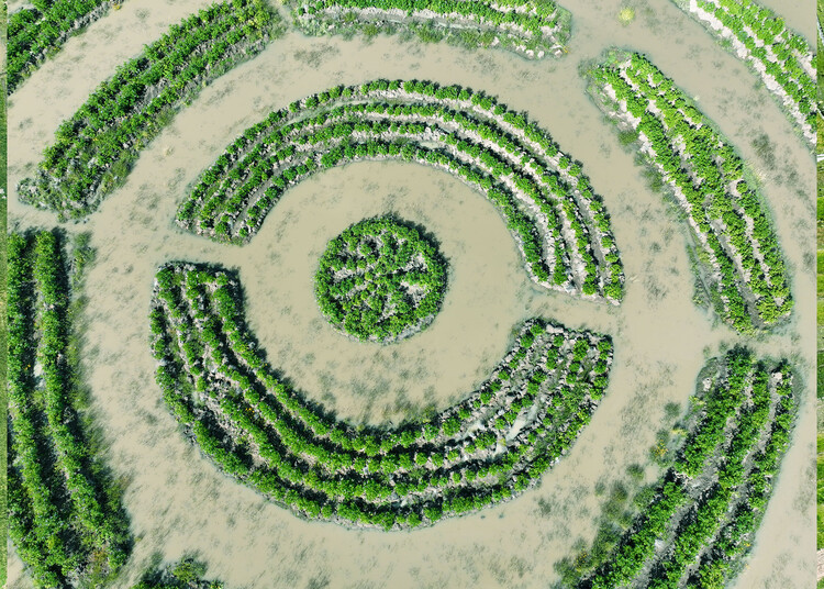 An Ancestral Legacy with Modern Concerns: The Story Behind the Waru Waru Agricultural Fields in Peru - Image 6 of 6