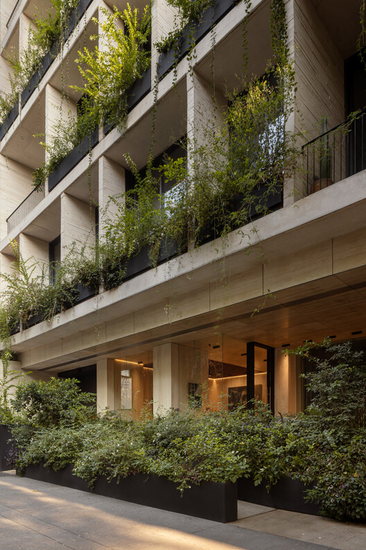 Sinaloa 215 /  Colonnier Arquitectos - Imagen 8 de 18